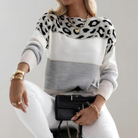Colleen | Leopard Print Colorblock Knit Sweater