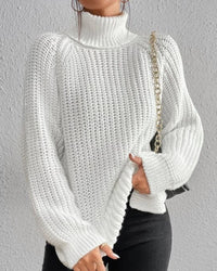 Diane | Ribbed Turtleneck Knit Sweater
